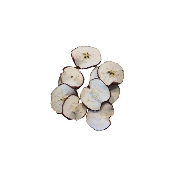 T�rrede �bleskiver 10 stk. ( dekorations brug )