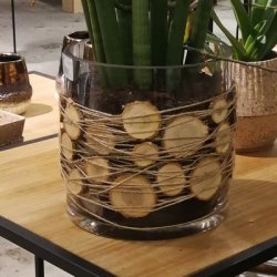 Tr� skiver natur 400 gram ca. Ass