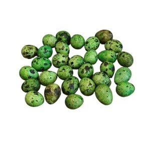 Vagtel�g gr�n 30 stk