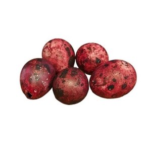 Vagtel�g mahogni 5 stk