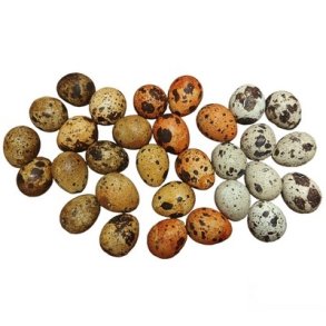 Vagtel�g mix 30 stk