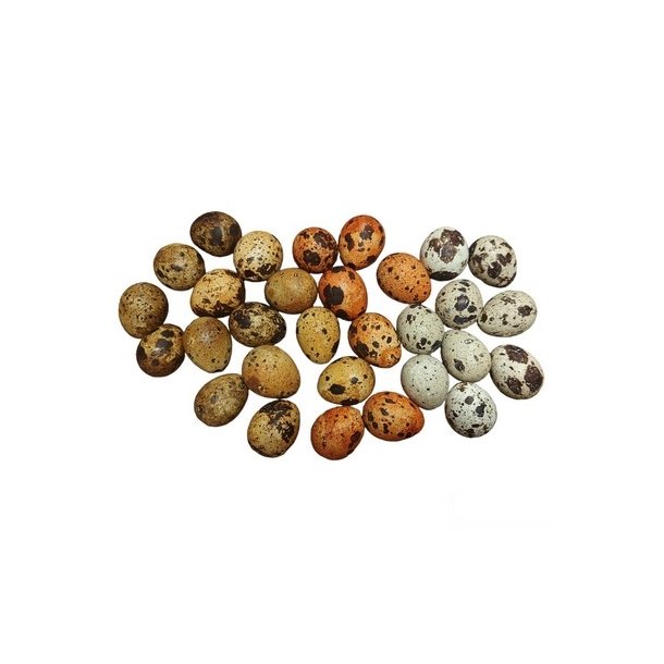 Vagtel�g mix 30 stk