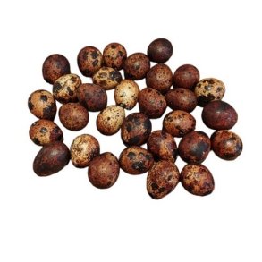 Vagtel�g r�dbrun 30 stk