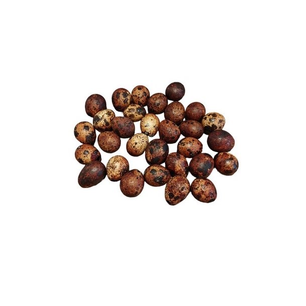 Vagtel�g r�dbrun 30 stk