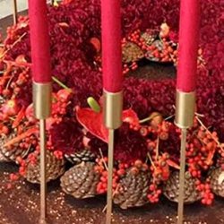 Wire b�r 10 mm. r�d